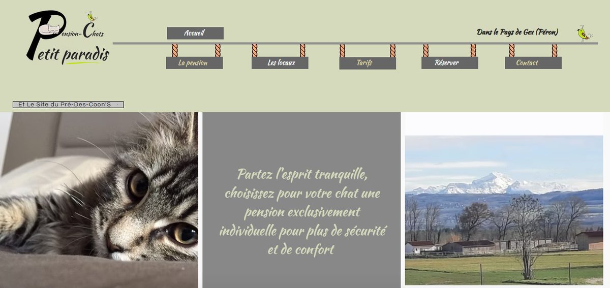 Page d'accueil du site de la Pension Chat Petit Paradis