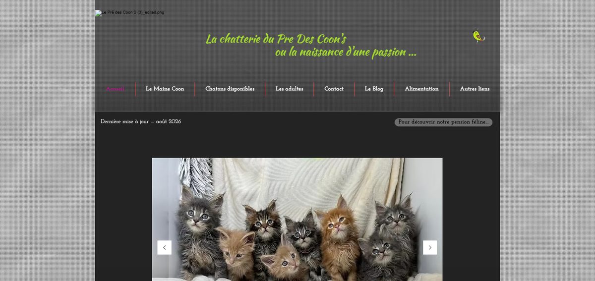 Page d'accueil du site de la chatterie Pre des Coon's